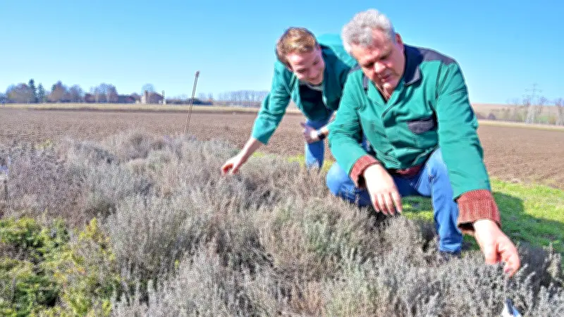 Generationswechsel bei Ascavital: Martin Junghanns übernimmt Kräuterunternehmen in Groß Schierstedt