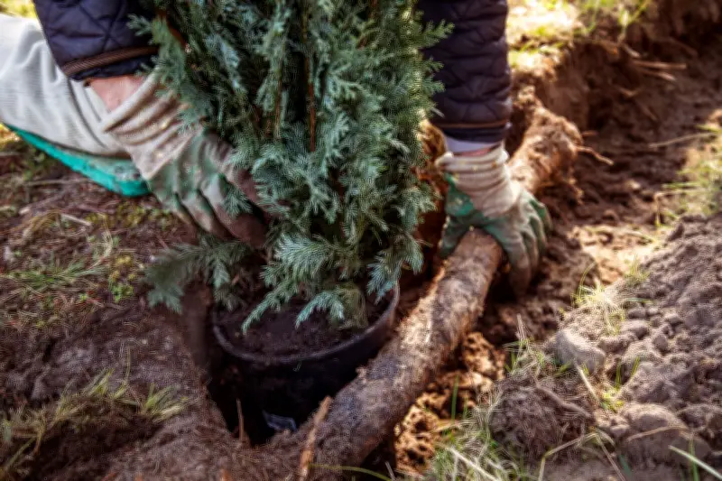 Gericht schützt Verbraucher: Handwerker geht bei eigenmächtiger Arbeit leer aus