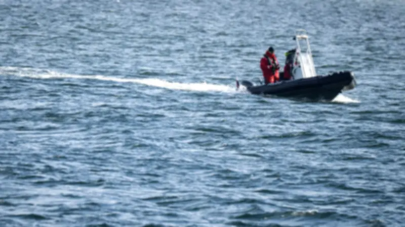 Geschwächter Buckelwal in der Ostsee: Kampf ums Überleben nach erneutem Abtauchen
