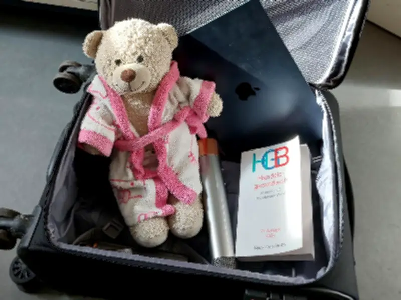 Gestohlener Teddybär kehrt nach Bremen zurück: Bundespolizei löst Fall dank Videoüberwachung
