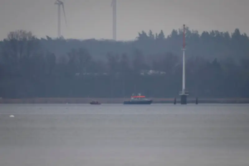 Gestrandeter Buckelwal erneut in Not: Zweite Strandung nach kurzer Freiheit in der Ostsee