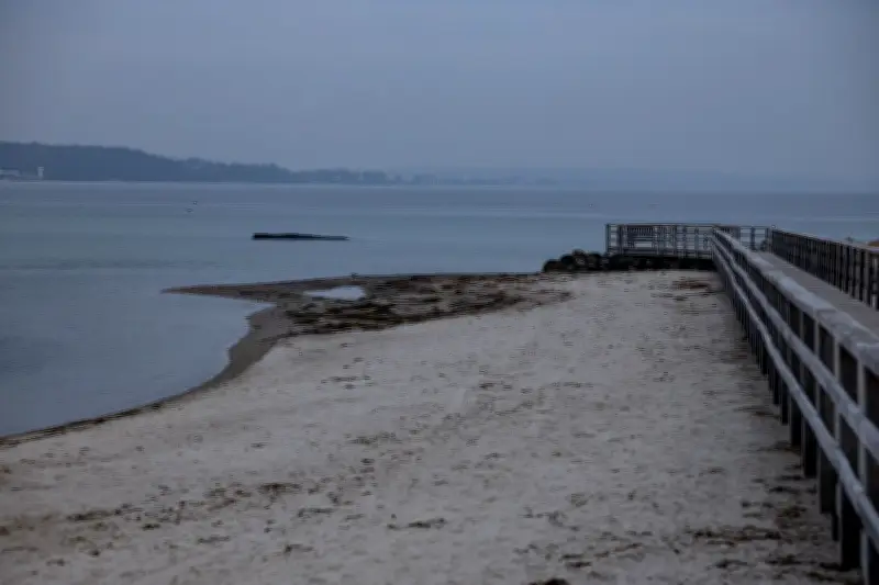 Gestrandeter Wal vor Timmendorfer Strand: Drohnenmessung zur Rettungsplanung