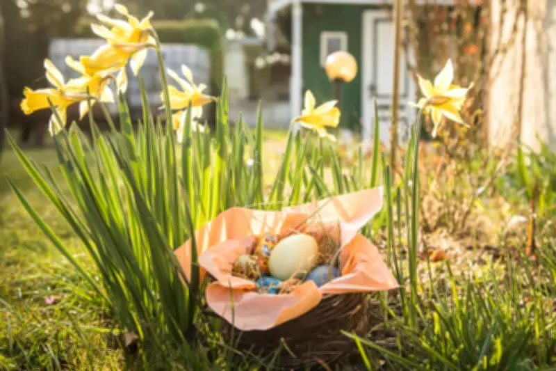 Gesunde Osternester: Ernährungsexpertin verrät bunte Alternativen zu Schokolade