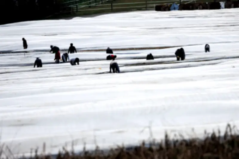 Gewerkschaft kritisiert weiterhin prekäre Arbeitsbedingungen für Saisonarbeiter in Deutschland