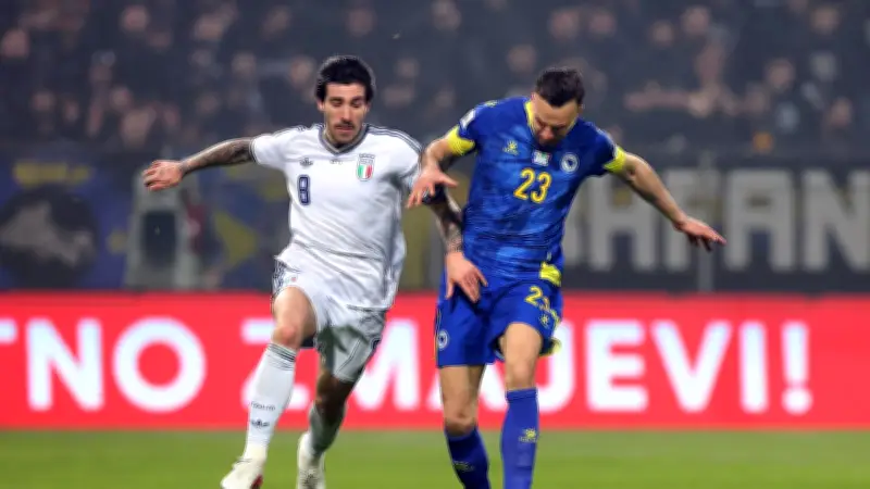 Gladbach-Profis im Länderspiel-Einsatz: Tabakovic schießt Bosnien zur WM