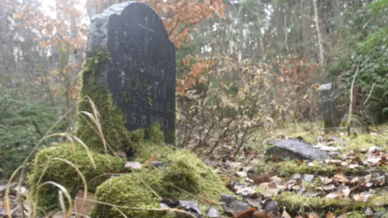 Golchen: Ehemaliger Friedhof 'Im Walde' entwidmet - Natur erobert mystischen Ort zurück