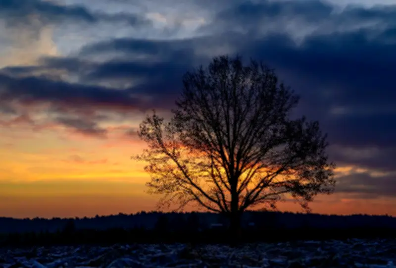 Graupel, Glätte und Regen in Berlin-Brandenburg - Besserung erst zum Wochenende