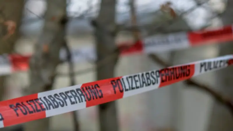 Grausamer Fund in Kargow: Menschliche Skelettteile im Wald entdeckt