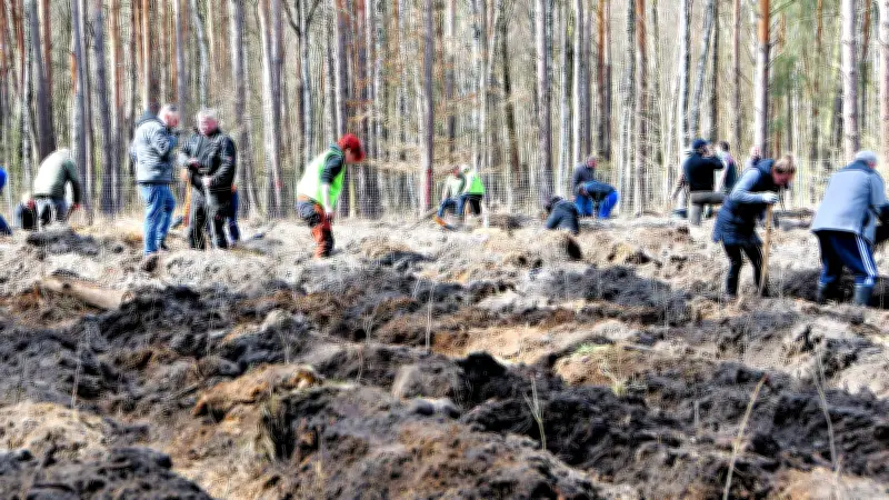 Gräfenhainichen pflanzt 3.500 Bäume: Gemeinschaftsaktion stärkt Stadtwald