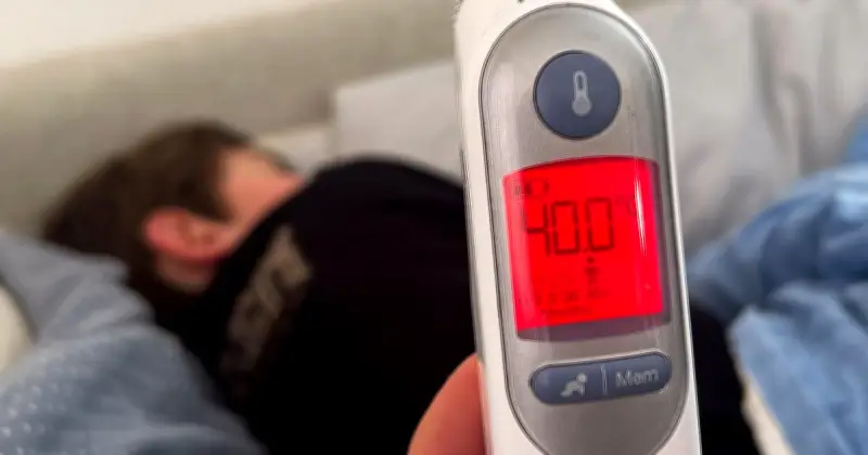 Grippewelle in Bayern offiziell beendet: Deutlich weniger Fälle als in Vorjahressaison