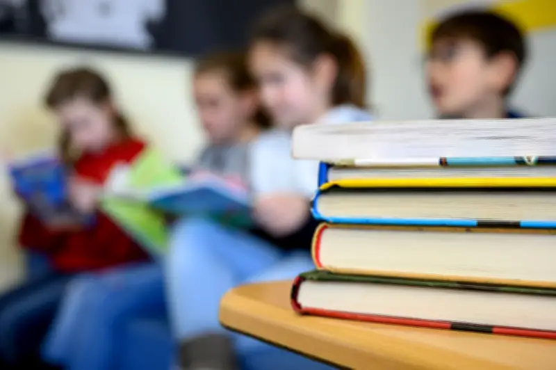 Grüne in Sachsen-Anhalt fordern Sozialkunde als Pflichtfach ab Klasse 5 und mehr Schülerbeteiligung