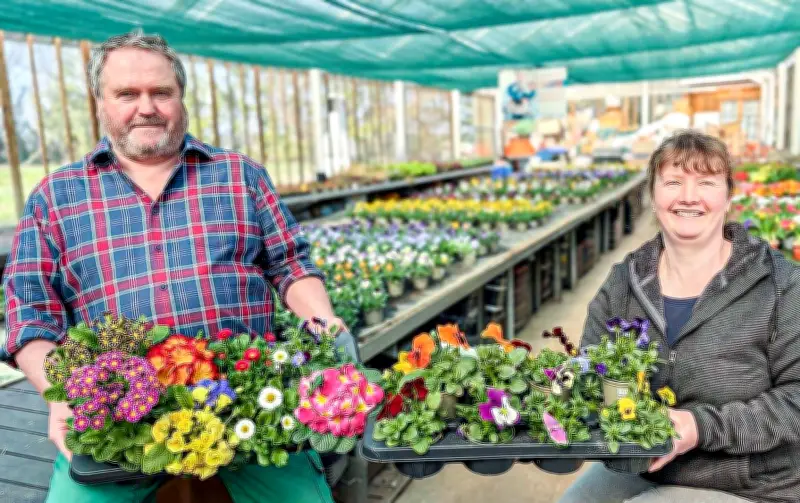 Gärtnerei Krüger in Siersleben kämpft gegen Großkonzerne und hohe Stromkosten