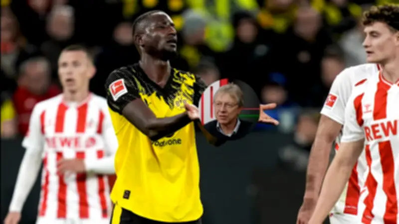 Guirassy-Wechsel im Sommer? Experte sieht Zukunft im englischen Seniorenfußball