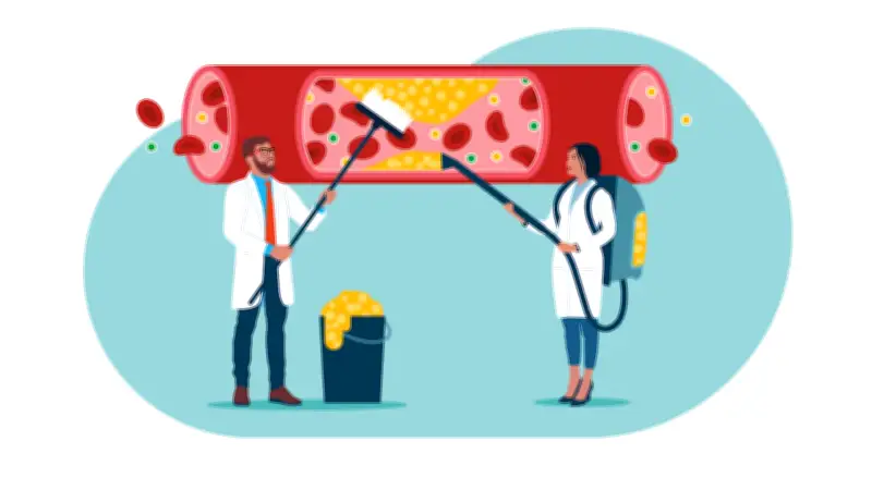 Haferflocken als Cholesterin-Killer: Zweitägige Kur zeigt überraschenden Langzeiteffekt