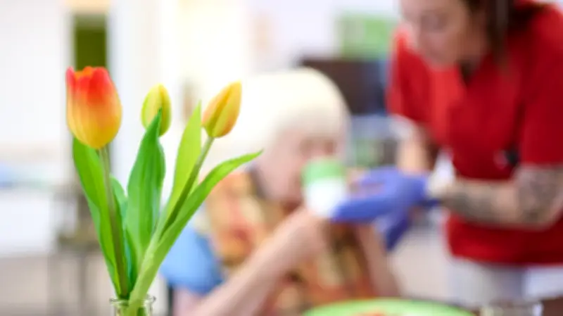 Halles Projekt setzt auf mehr Pflegepersonal statt Digitalisierung für bessere Anschlussversorgung