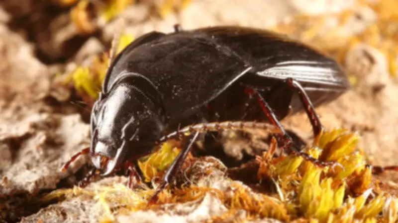 Halles tierische Vielfalt: Ein Jahr voller Überraschungen in der Saalestadt