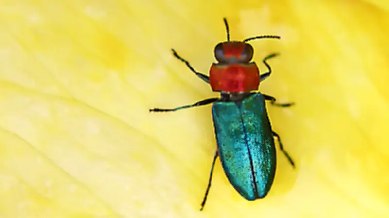 Halles tierische Vielfalt: Ein Jahr voller Überraschungen mit farbenfrohen Mitbewohnern