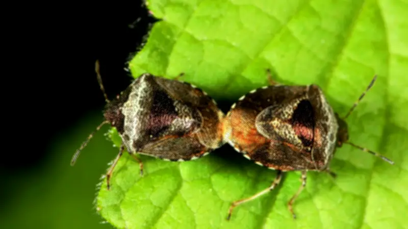 Halles tierische Vielfalt: Ein Jahr voller tierischer Entdeckungen in der Stadt