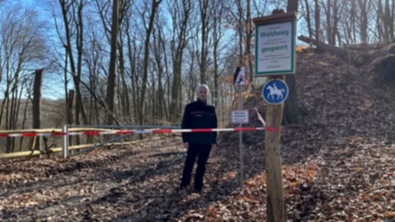 Hangrutsch bei Schlicht: Waldweg in Feldberger Seenlandschaft gesperrt - Gefahr droht weiter