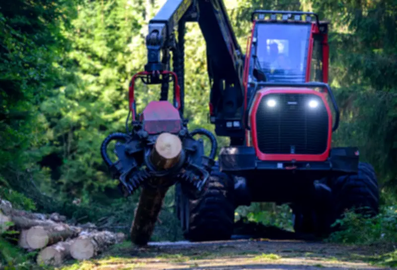 Harvester-Brand im Zittauer Gebirge: 300.000 Euro Schaden nach technischem Defekt