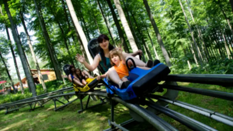 Harzer Highlights: 6,5 Millionen Besucher zeigen die Kraft touristischer Kooperation