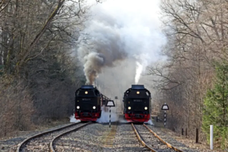 Harzquerbahn: Zehntägige Streckensperrung zwischen Eisfelder Talmühle und Drei Annen Hohne
