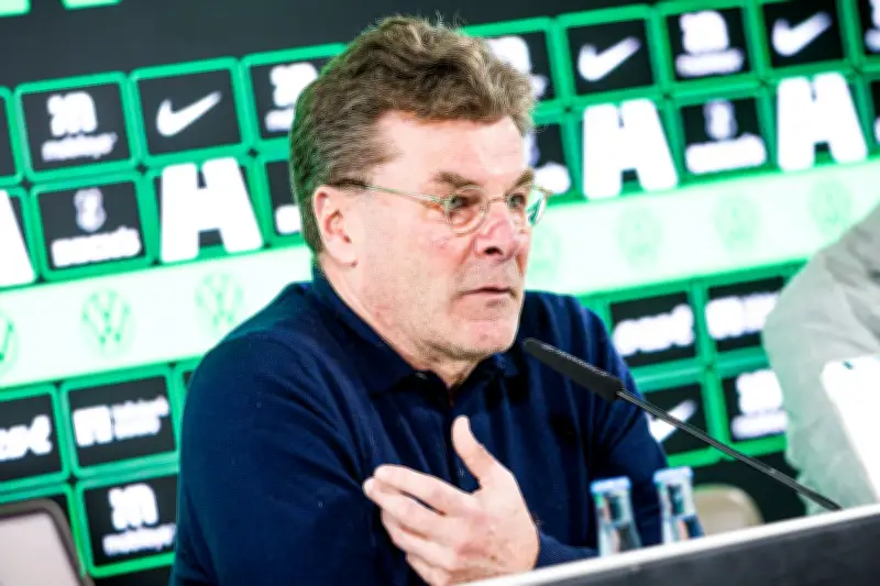 Heckings Rückkehr nach Wolfsburg: Der Retter in der Abstiegsnot kehrt zurück