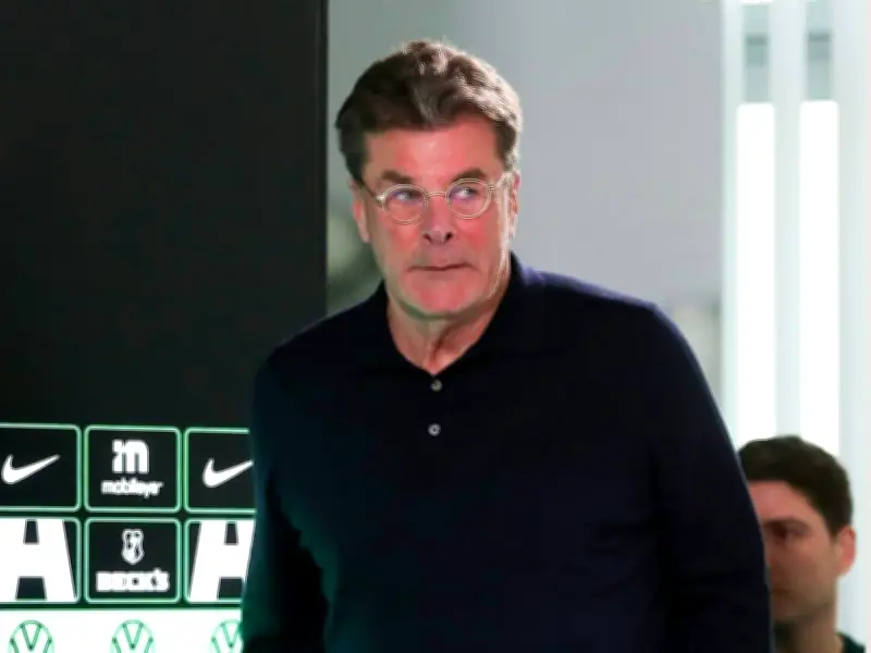 Heckings Rettungsmission beim VfL Wolfsburg: 'Angst hemmt die Spieler'