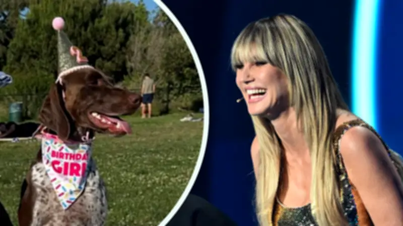 Heidi Klum als Hai-Di: Model spricht Disney-Figur und würde gern in ihre Hündin schlüpfen