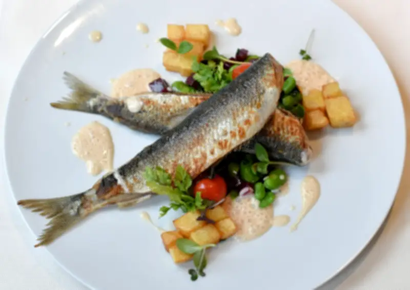 Hering neu entdeckt: Leichte Rezepte aus Schweden und Tirol für moderne Küche