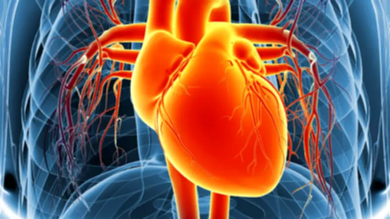 Herzgesundheit im Alter: Top-Kardiologe verrät, wie die Pumpe jung bleibt