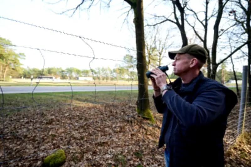 Hirsch Rehné an A7 bei Soltau: Polizei erhält Hunderte Anrufe monatlich