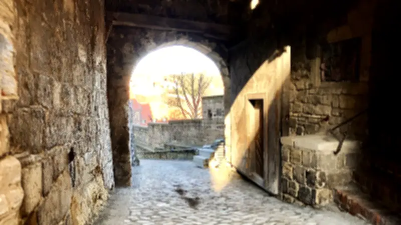 Historisches Holztor in Quedlinburg: 20.000 Euro Spende für Sanierung des Stiftsberg-Ensembles