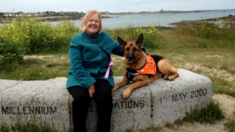 Hündin erschnüffelt Lungenkrebs: Schäferhündin Inca rettet Besitzerin durch frühe Tumorerfassung