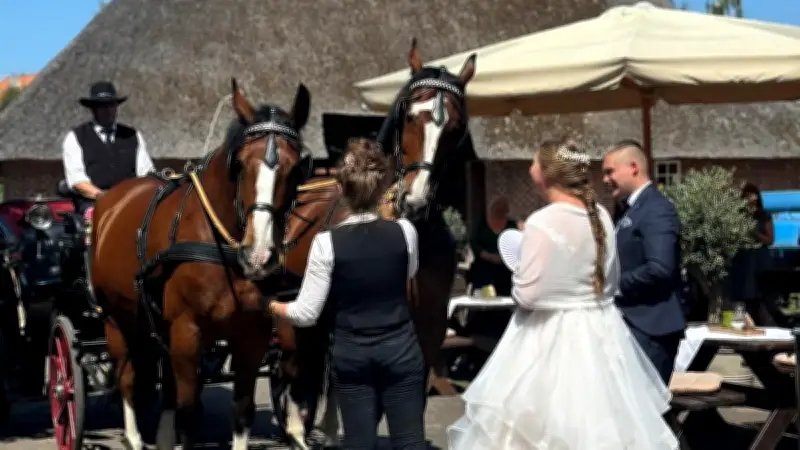 Hochzeitsmesse im Mölliner Rauchhaus: Komplettangebot für den schönsten Tag