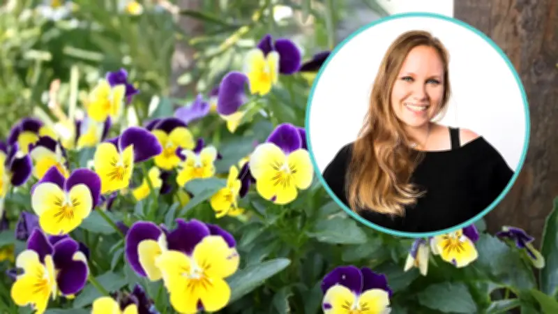 Hornveilchen-Kauf: Drei entscheidende Kriterien für eine üppige Blütenpracht