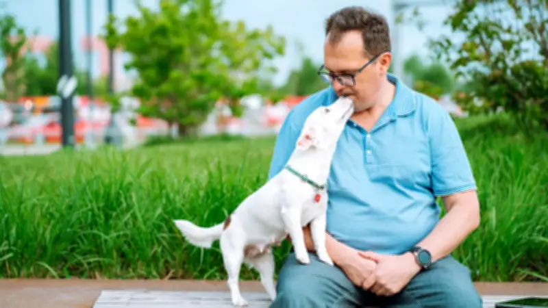 Hunde erschnüffeln Krankheiten: Wie Vierbeiner Krebs und Diabetes im Atem erkennen