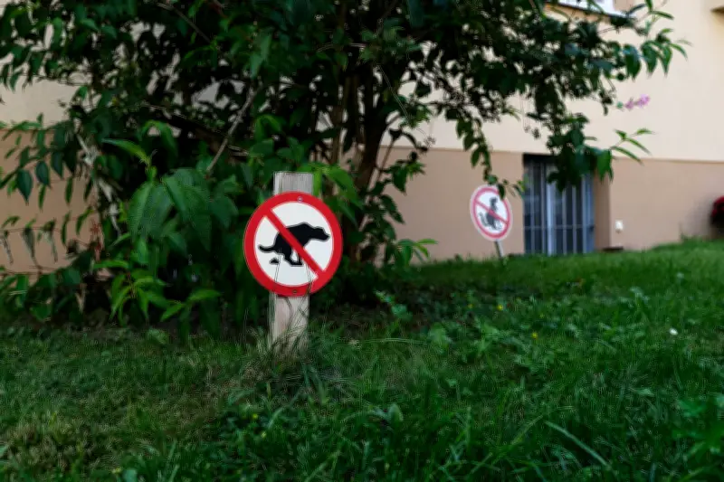 Hundekot-Streit eskaliert: 62-Jähriger in Angersdorf brutal zusammengeschlagen