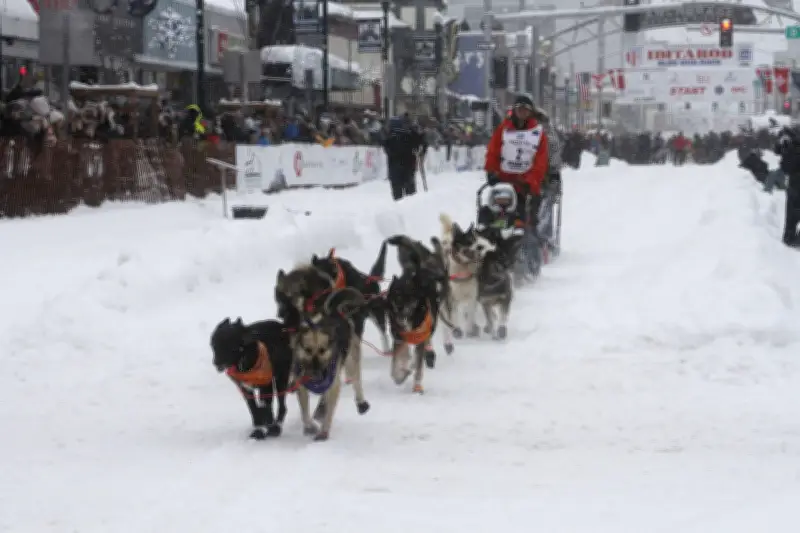Iditarod 2026: Größtes Schlittenhunderennen der Welt startet mit internationalem Feld