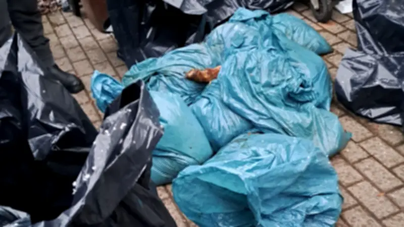 Illegale Entsorgung von Schlachtabfällen in Aschersleben: Veterinäramt ermittelt