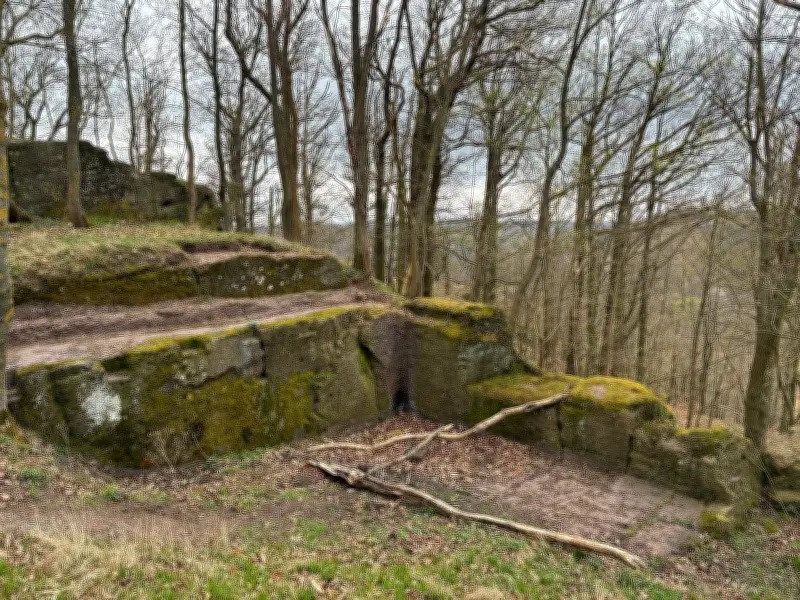 Illegale Grabungen an Metilstein: Mann legt Burgreste ohne Genehmigung frei