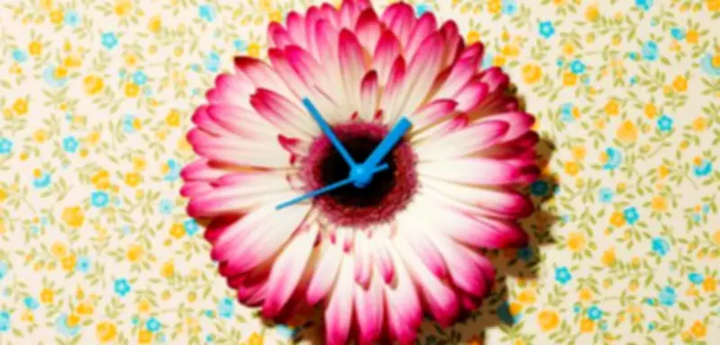 Im Einklang mit der inneren Uhr: Wie der zirkadiane Rhythmus Gesundheit und Leistung beeinflusst