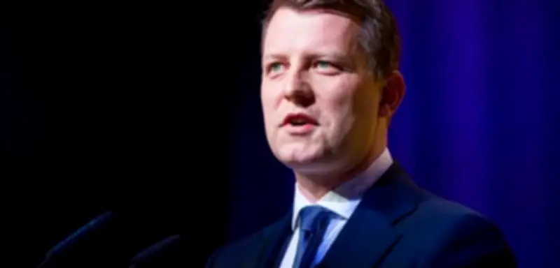 Kampf um den FDP-Vorsitz: Kann Henning Höne die Liberalen retten?