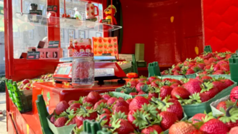 Karls Erlebnis-Dorf expandiert im Harz: Fünf neue Erdbeerstände ab April