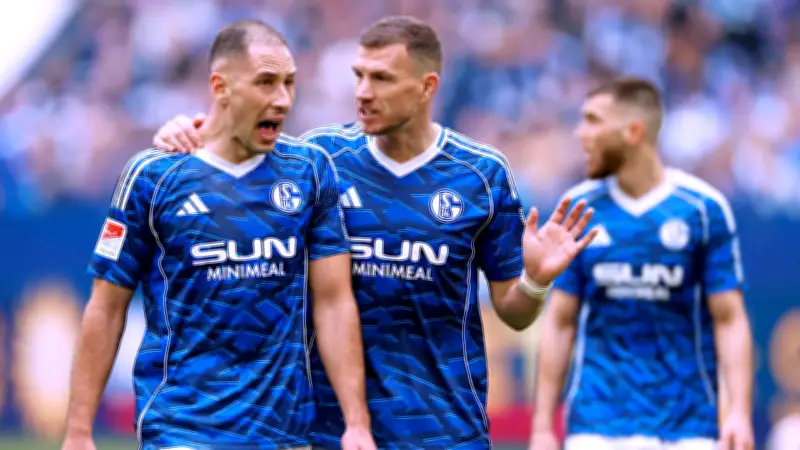 Katic und Dzeko im WM-Fieber: Entscheidet die Qualifikation über Schalkes Aufstieg?