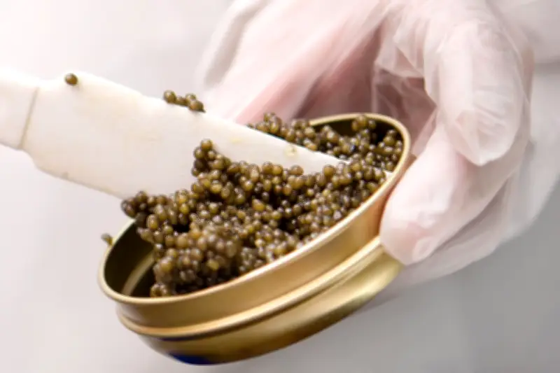 Kaviar-Kauf: So erkennen Sie Qualität und vermeiden teure Abzocke