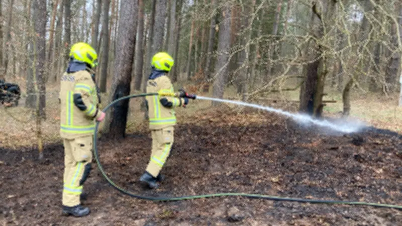 Kleiner Brand, große Gefahr: Feuerwehr verhindert Waldkatastrophe bei Groß Trebbow