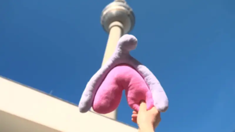 Kleines Kissen, großes Rätsel: Das weibliche Lust-Organ im Fokus