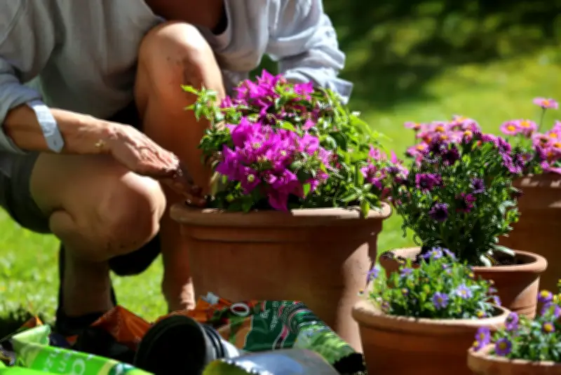 Klimafreundlich gärtnern: Torffreie Erde und nachhaltige Alternativen für die Pflanzsaison