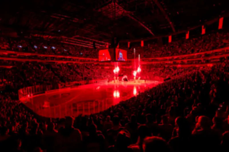Kölner Haie brechen eigenen Europarekord: Über 18.000 Fans pro Heimspiel